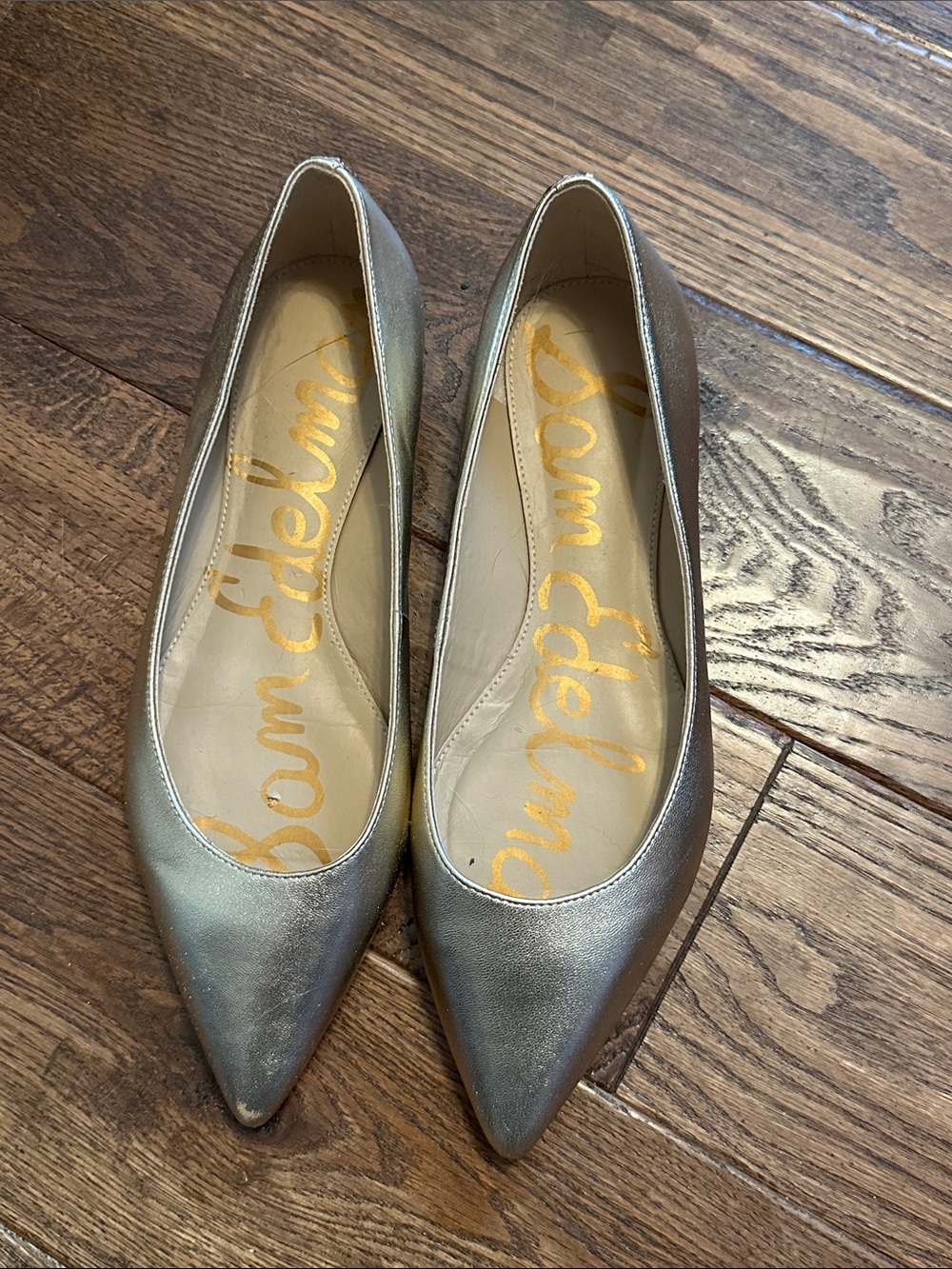 Sam Edelman Metallic Silver Pointed Toe Flats